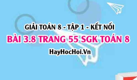 Giải bài 3.8 trang 55 Toán 8 Tập 1 SGK Kết nối tri thức